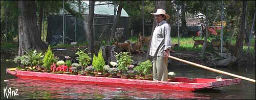 Xochimilco vendeur plante