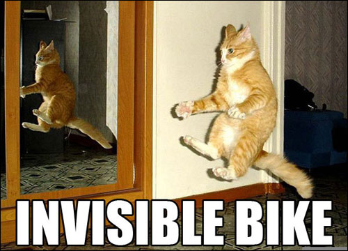 roflcats lol chat lolcats catz photo chats insolite invisible bike