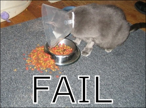 entonnoir chat fail