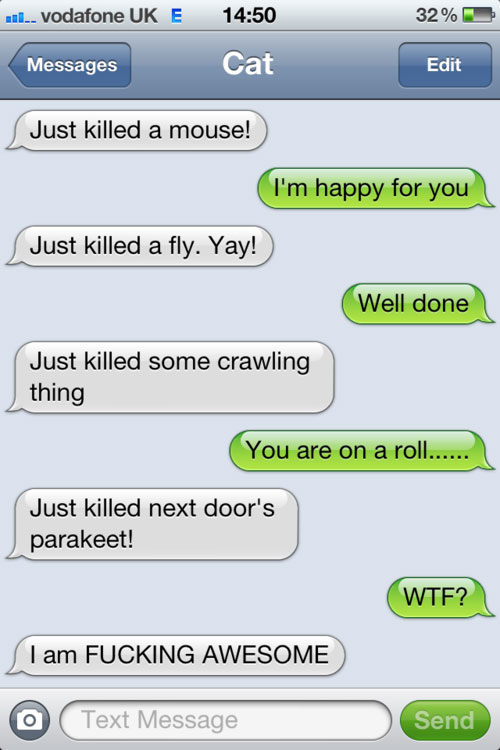 conversation SMS iPhone avec son chat texto text from cat conversation SMS iPhone avec son chat texto text from cat