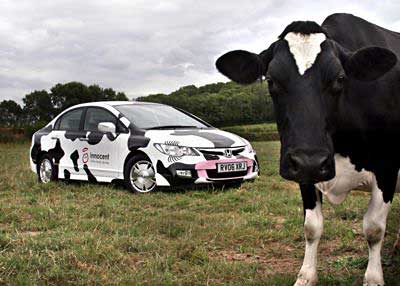Honda Civic hybride vache