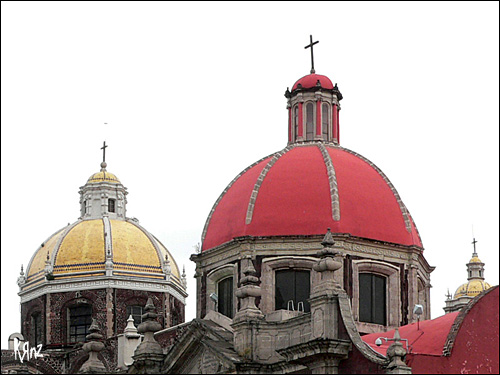 notre dame guadalupe