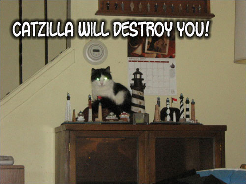 roflcats lol chat lolcats catz photo chats insolite catzilla