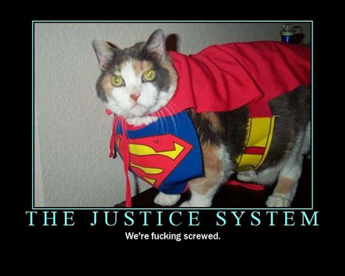 roflcats lol chat lolcats catz photo chats insolite superman supercat