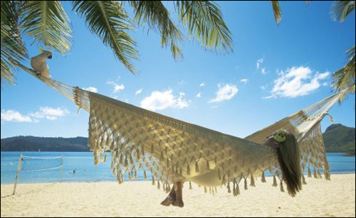 photo ile paradisiaque plage ile hamilton island australie