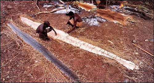 chasse serpent peau viande photo