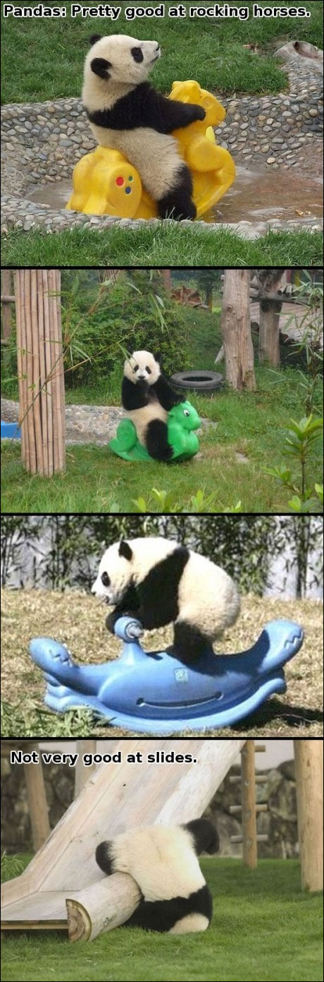 photo video panda toboggan failed parc jardin enfant bebe panda zoo France