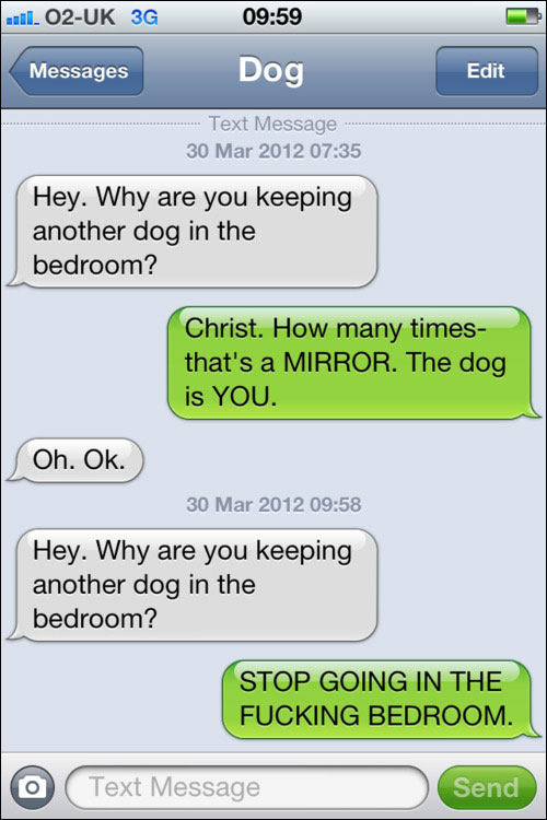 conversation SMS iPhone avec chien yes this is dog text from dog