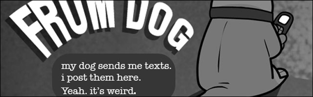 conversation texto chien qui envoie des sms yes this is dog text from dog