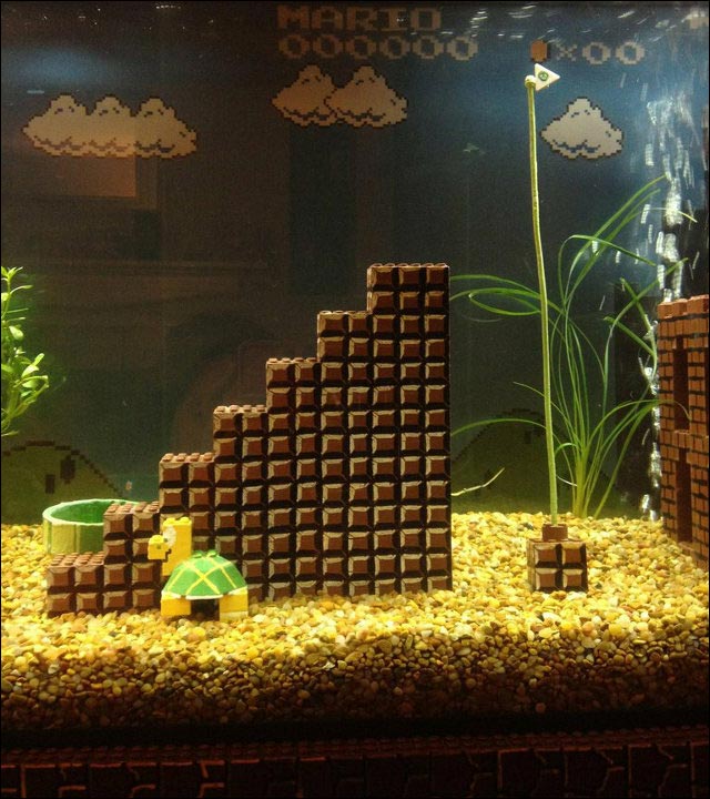 photo video aquarium Lego Super Mario Bros Nintendo
