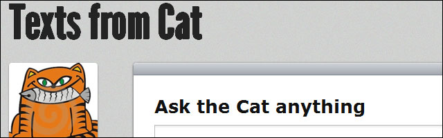echange de SMS avec son chat echange de SMS avec son chat