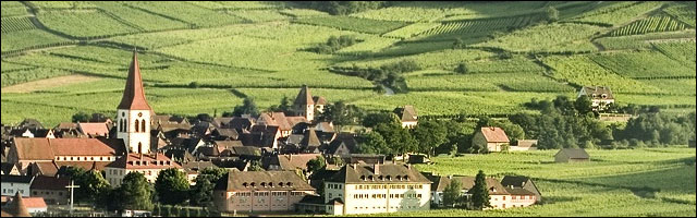 photo vignoble alsacien vigne Alsace village vin blanc Haut Rhin Bas Rhin 67 68 photo vignoble alsacien vigne Alsace village vin blanc Haut Rhin Bas Rhin 67 68