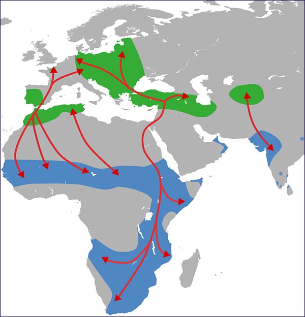 circuit migration cigogne