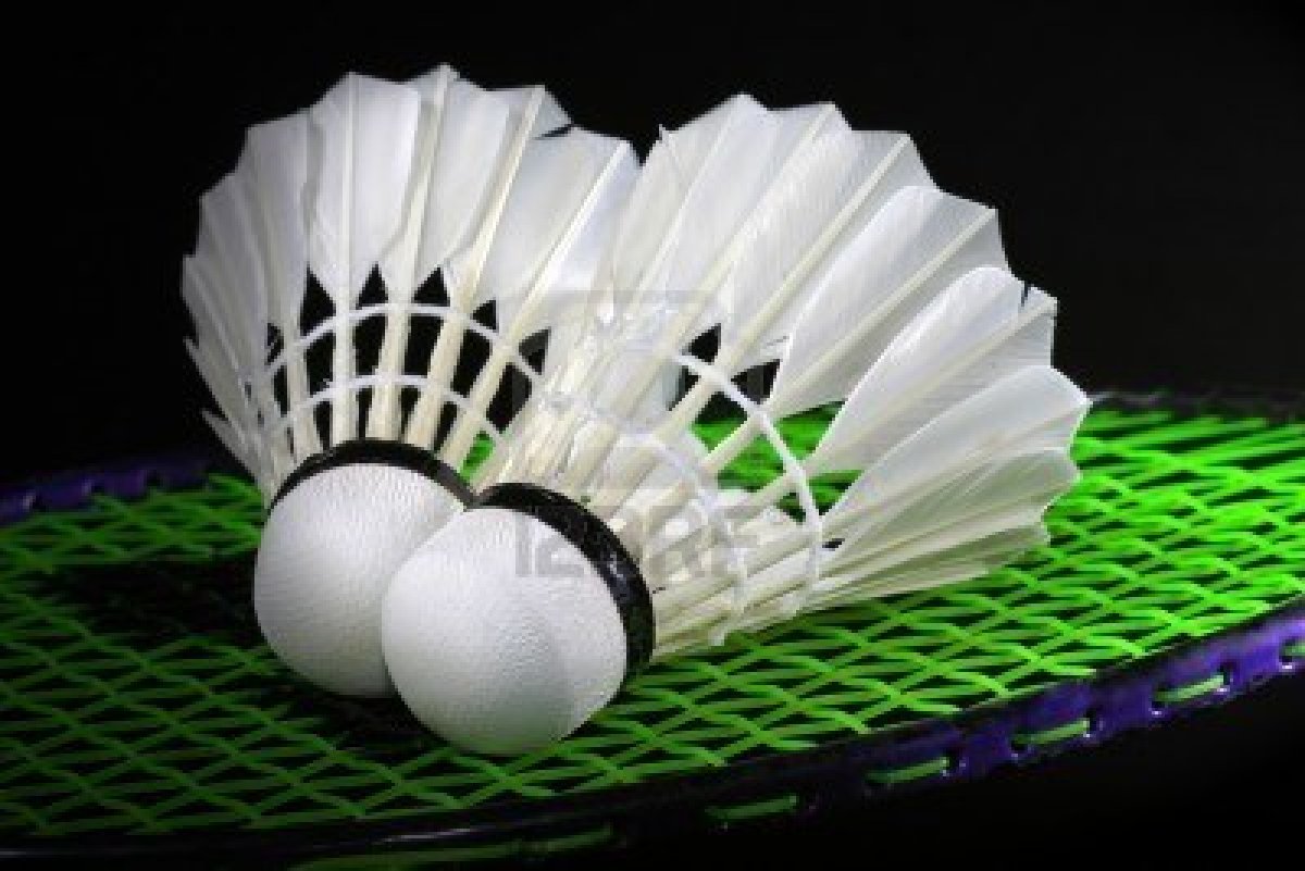 volant raquette badminton volant raquette badminton