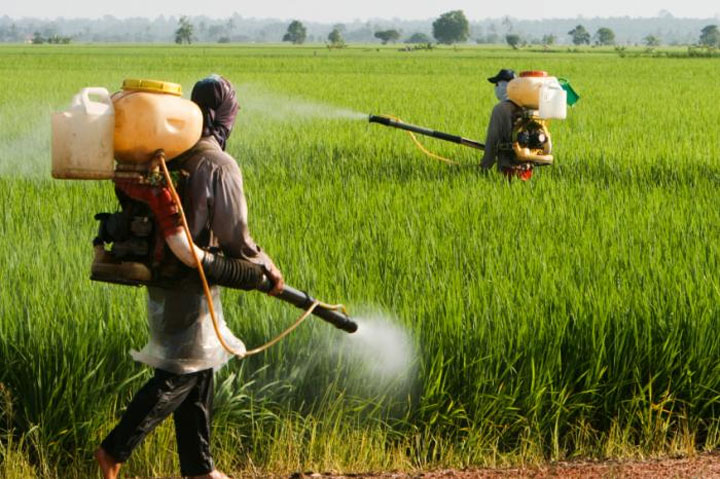 photo pesticides champs photo pesticides champs