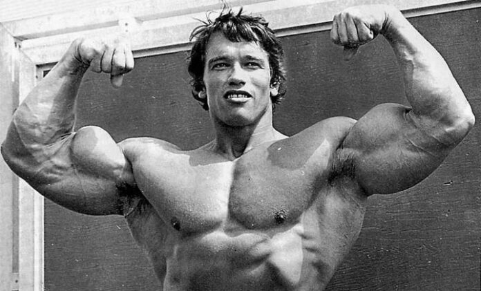 arnold schwarzenegger papi muscu arnold schwarzenegger papi muscu