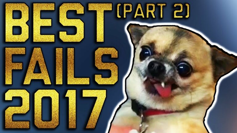 Fail Army – Best of 2017 (partie 2)