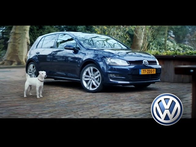 Les chiens aussi aiment rouler en VW Golf